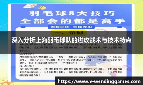 深入分析上海羽毛球队的进攻战术与技术特点